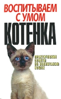 Воспитываем с умом котенка артикул 4027c.