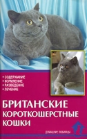 Британские короткошерстные кошки артикул 4029c.